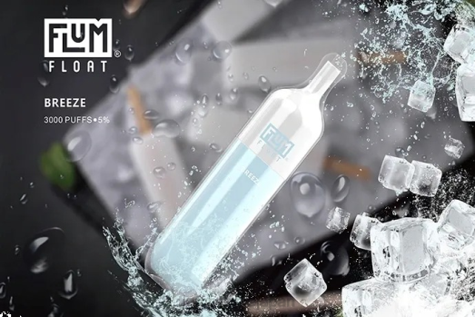 Flum Float Flavors - FLUM FLOAT 3000パフ 風 8VX819