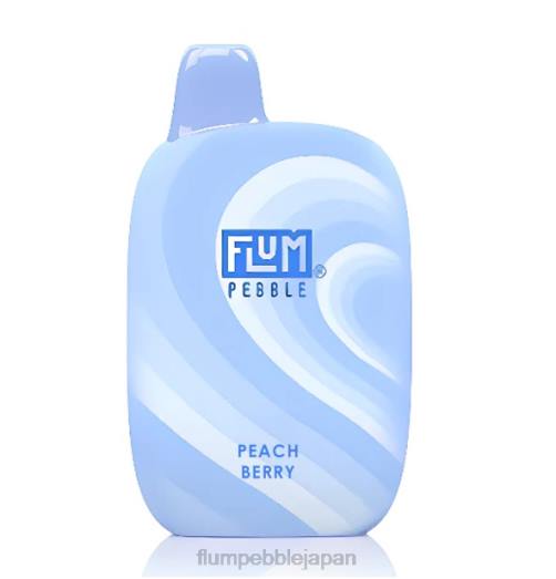 Flum Float Flavors - FLUM PEBBLES 6000パフ ピーチベリー 8VX839