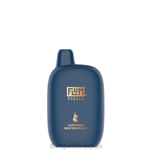 Flum Float Vape Flavors - FLUM PEBBLES 6000パフ（クリスマスバージョン） 甘美なスイカ 8VX837