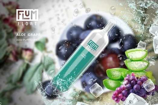 Flum Pebble Japan - FLUM FLOAT 3000パフ アロエブドウ 8VX82